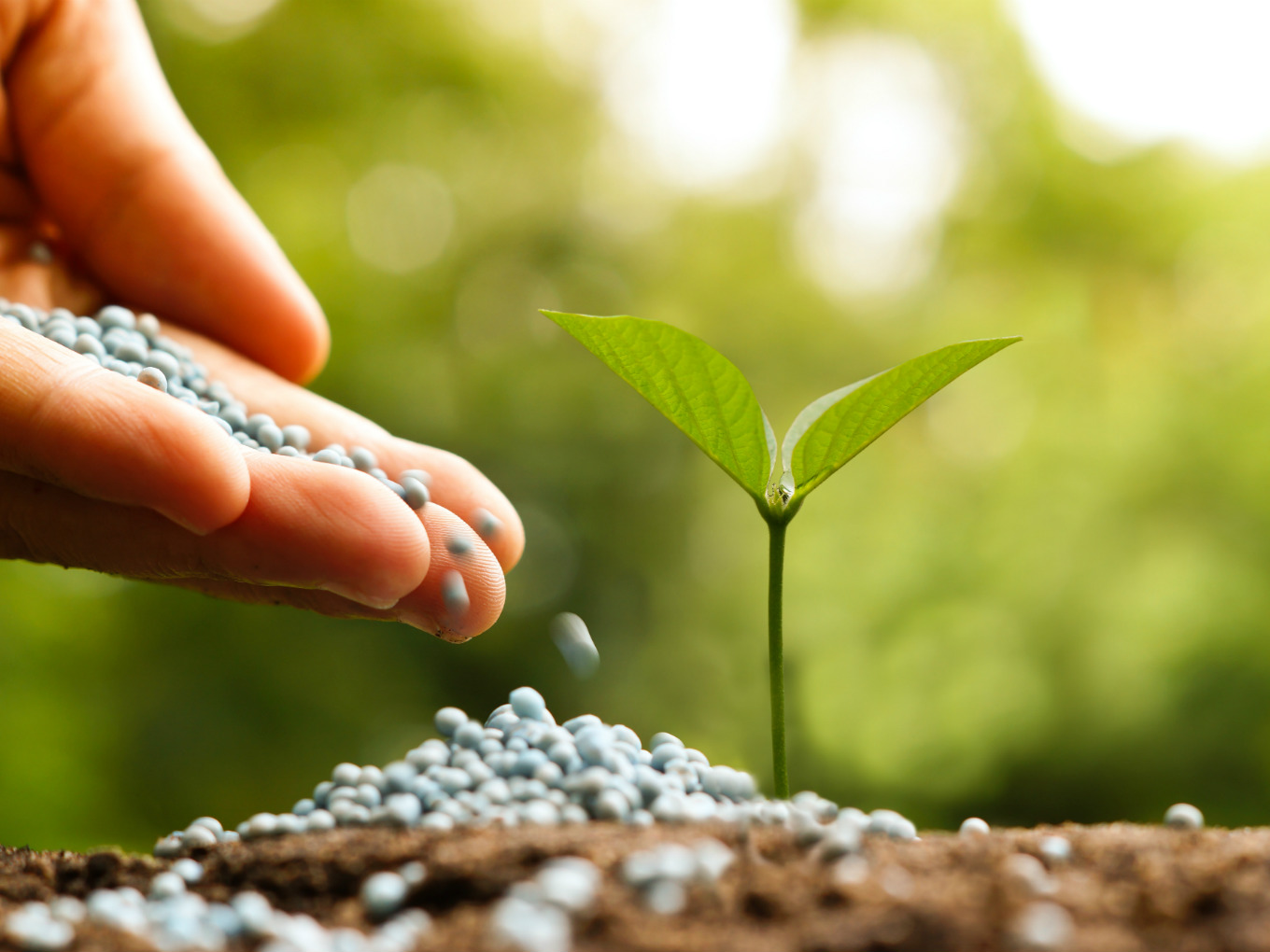 How MyCrop Is Using Blockchain To Identify Spurious Seeds